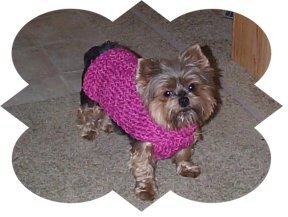 Knitting Loom Instructions Free Knitting Pattern Dog