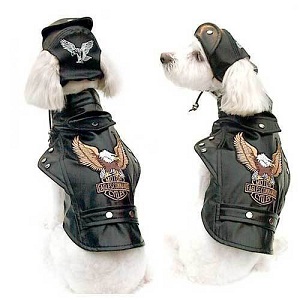 Harley Davidson Dog Clothes