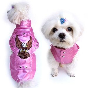 harley davidson dog clothes